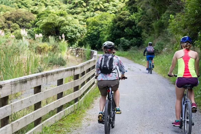 5 Best Biking Trails in St. Louis for Summer 5 Best Biking Trails in St. Louis for Summer