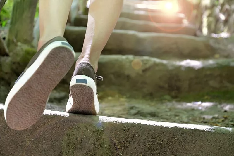 4 Exercises that are Easy on the Knees 4 Exercises that are Easy on the Knees
